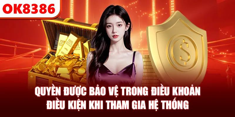 Quyền được bảo vệ trong điều khoản điều kiện khi tham gia hệ thống